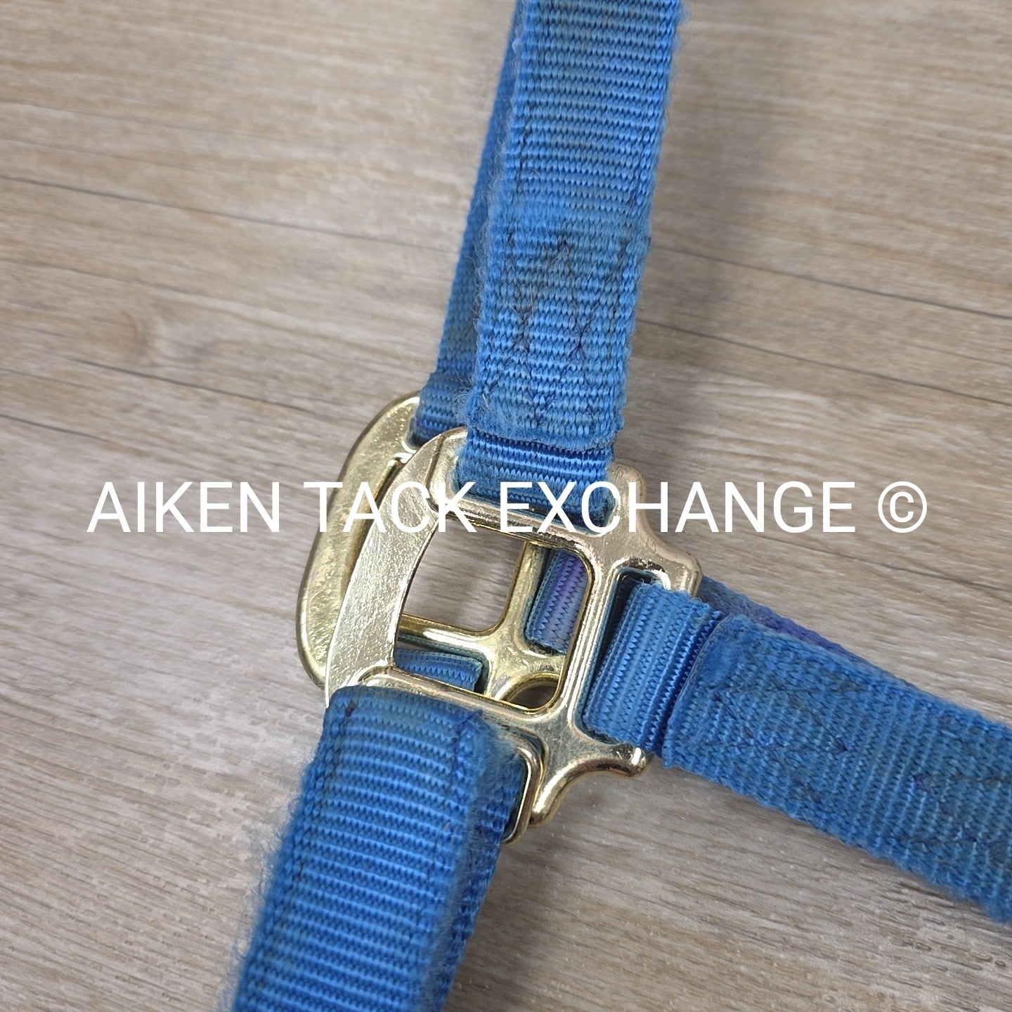 Nylon Breakaway Halter, Size Large