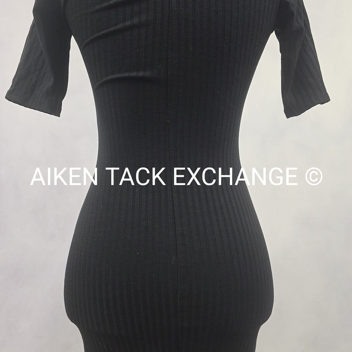 Venus Dress, Size X-Small