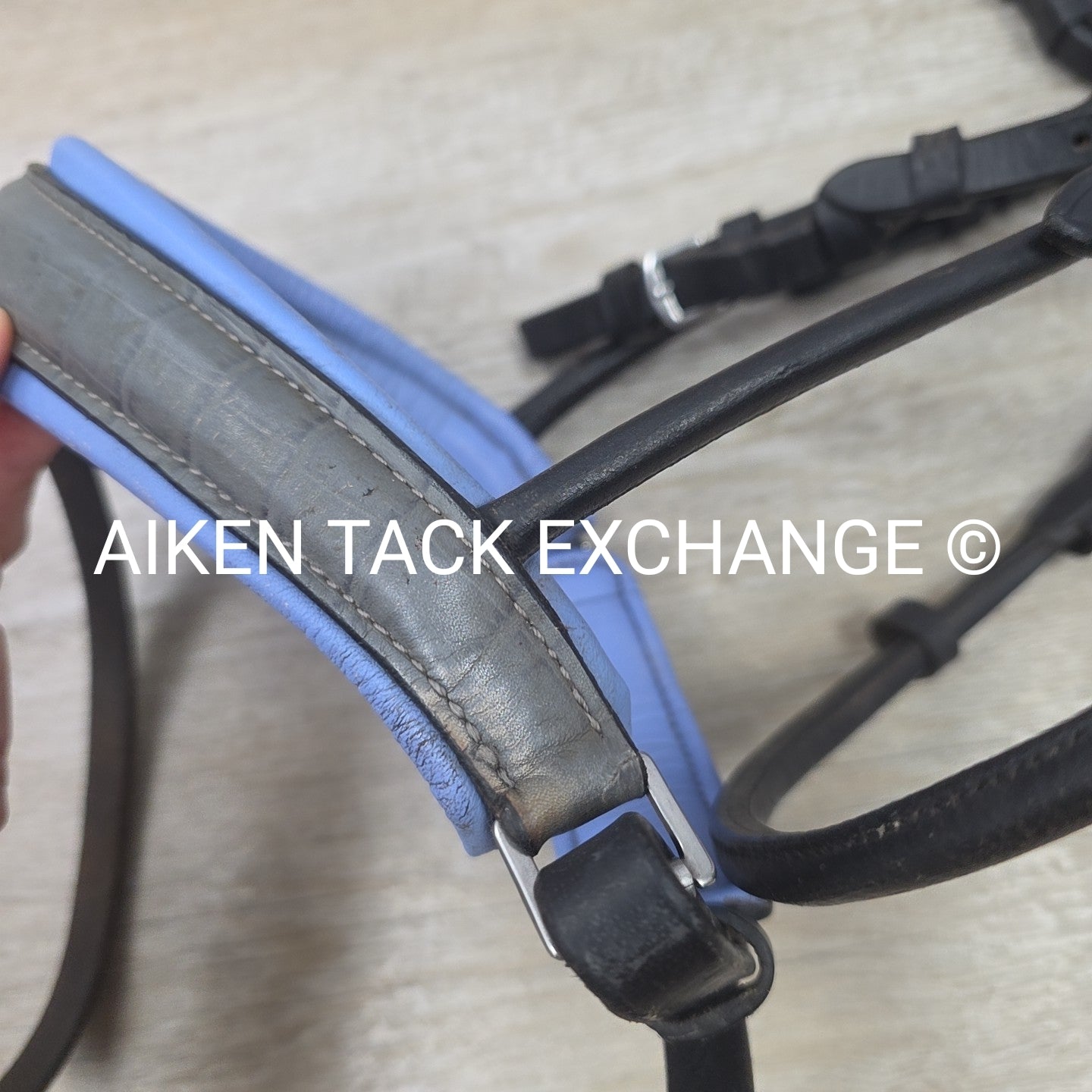 Halter Ego Rolled Dressage Bridle, No Reins, Size Cob