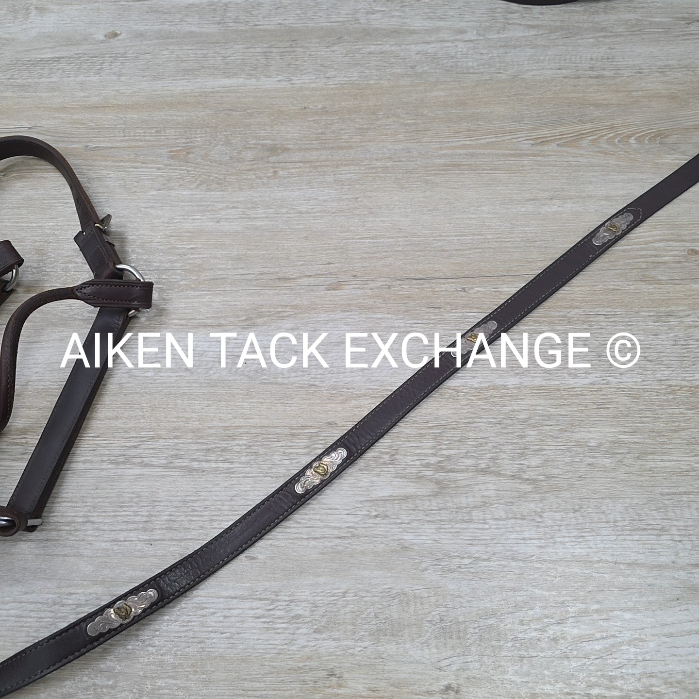 Victor Quality Westen Show Halter with Lead