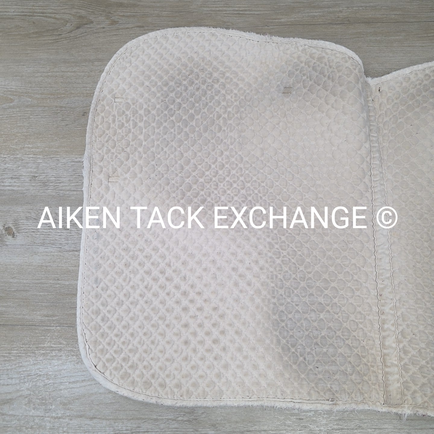 BARGAIN BUNDLE: 3 All Purpose Saddle Pads