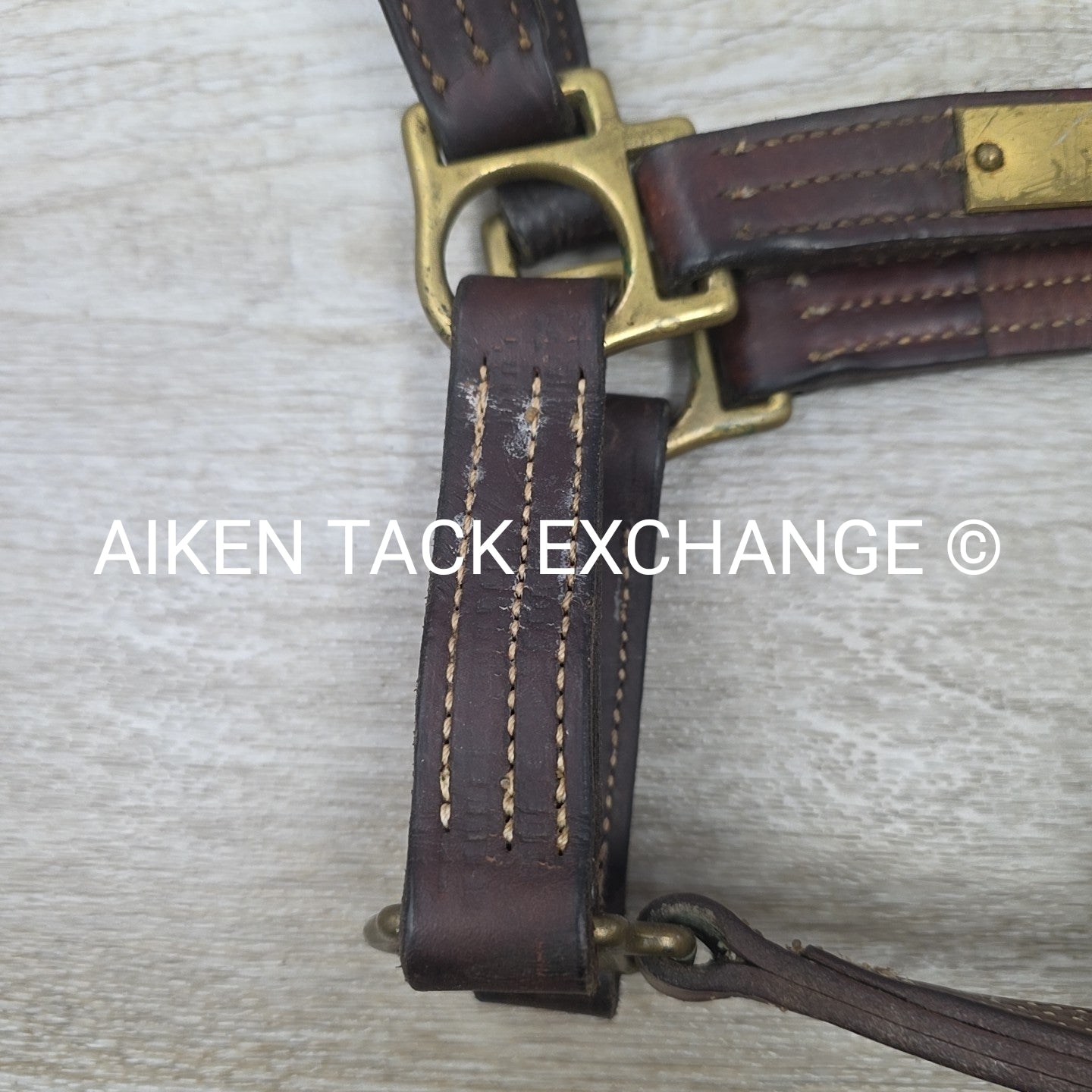 Walsh Triple Stitched Leather Halter, Has Name Plate, Size Cob