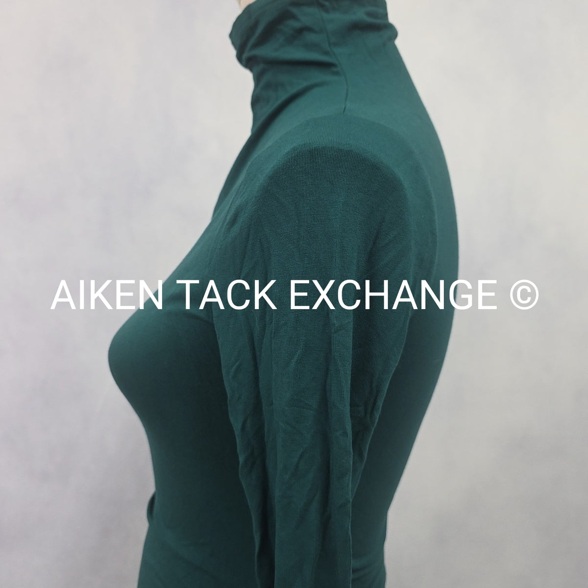Venus Long Sleeve Dress, Size X-Small