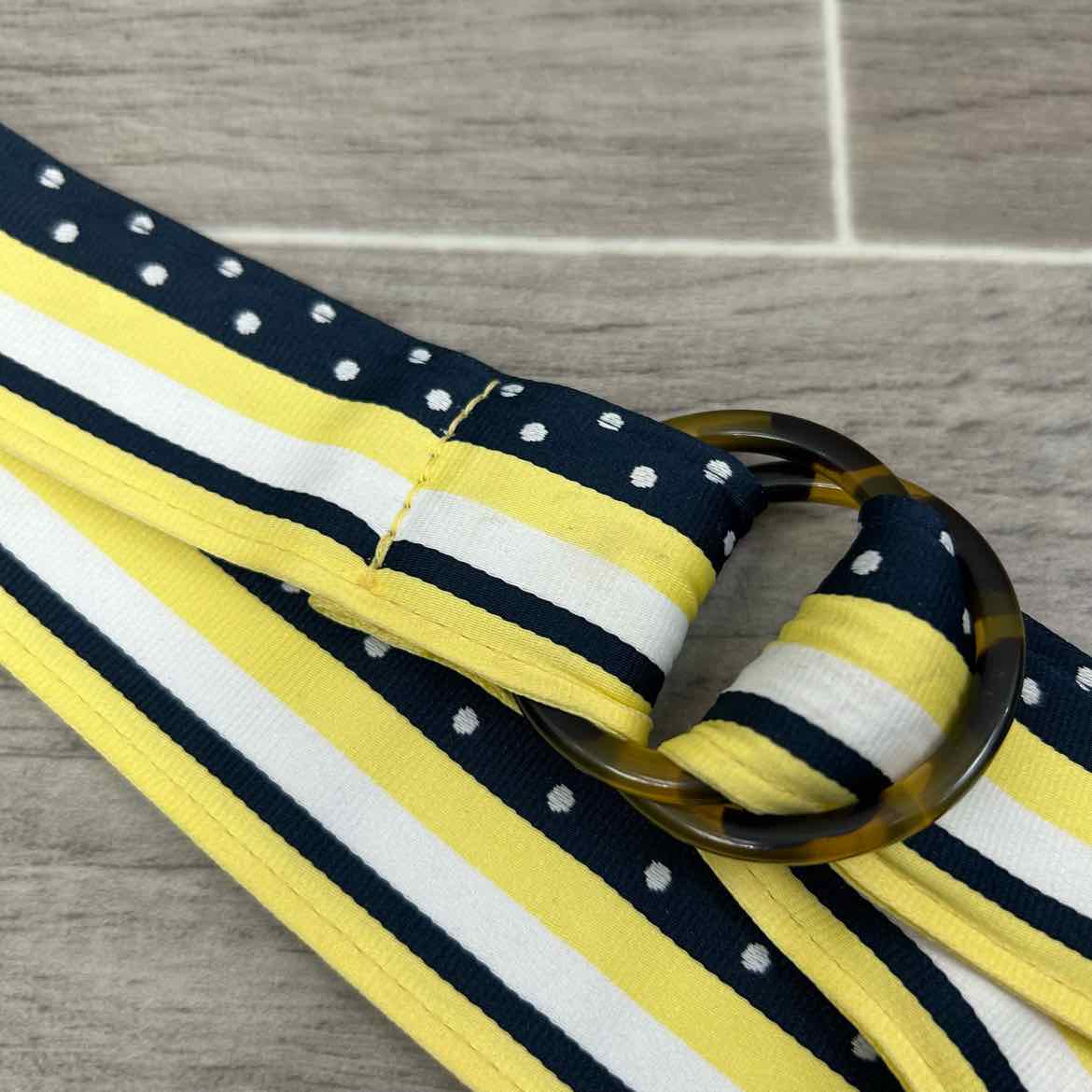 Ribbon Belt
