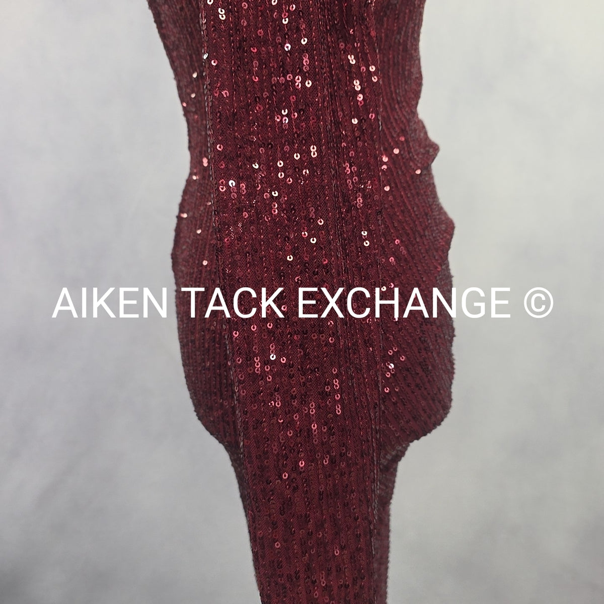 Premier Amour Long Sleeve Dress, Size 4