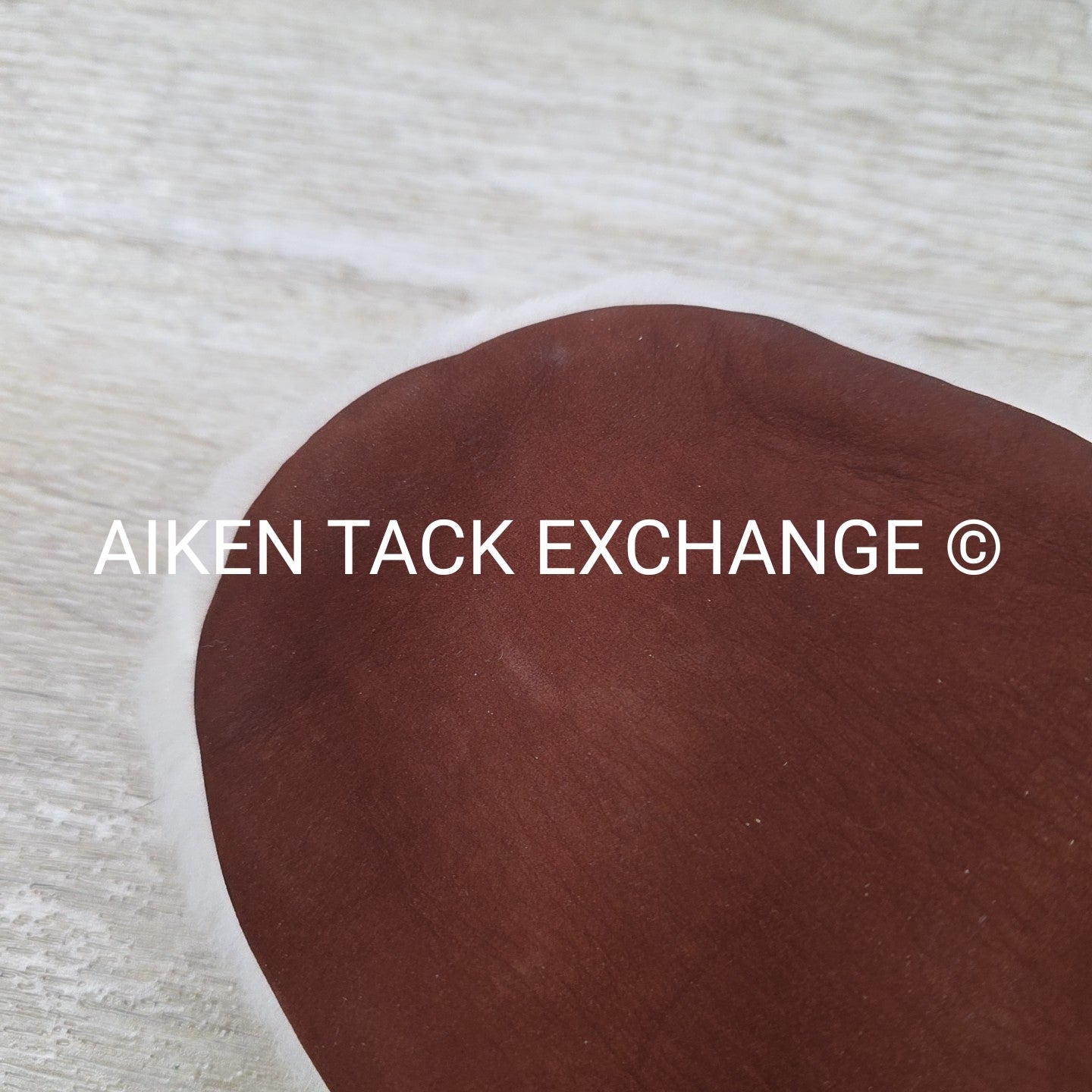 Devoucoux Balharra Glove