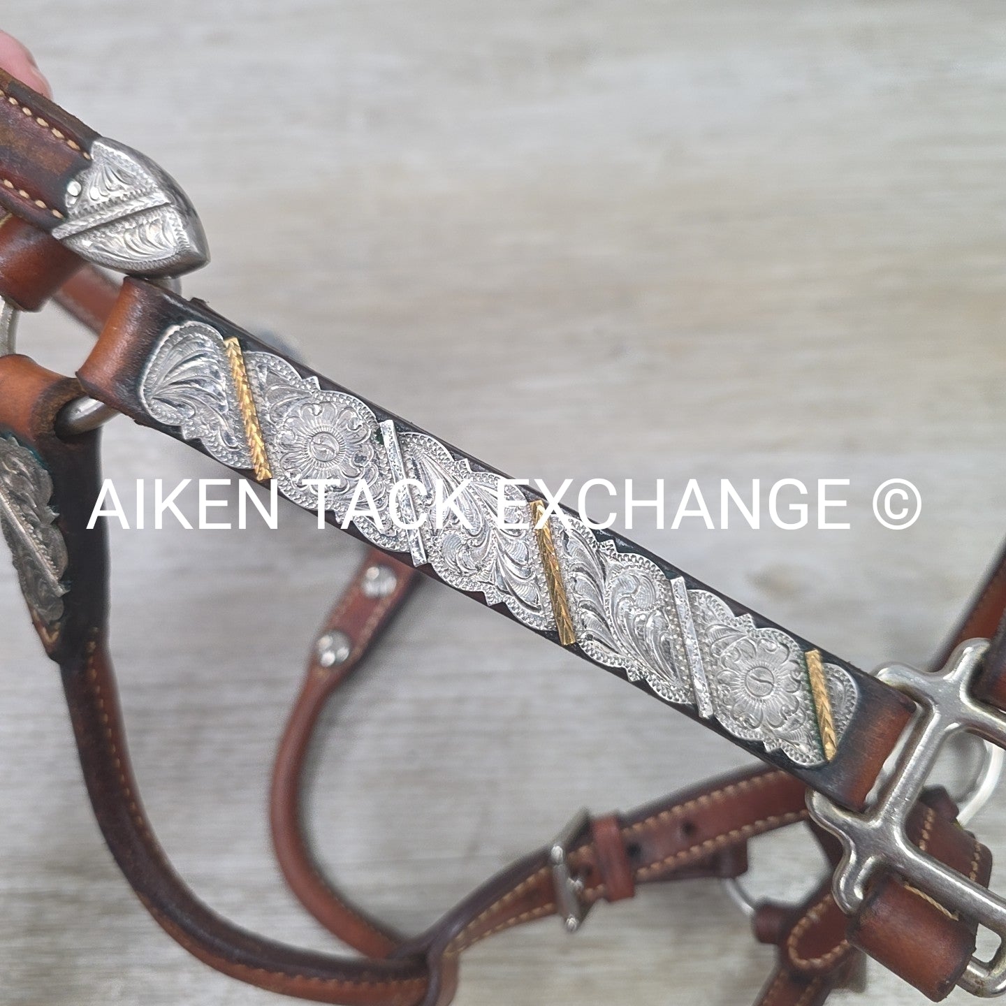 Western Show Halter, Size Foal