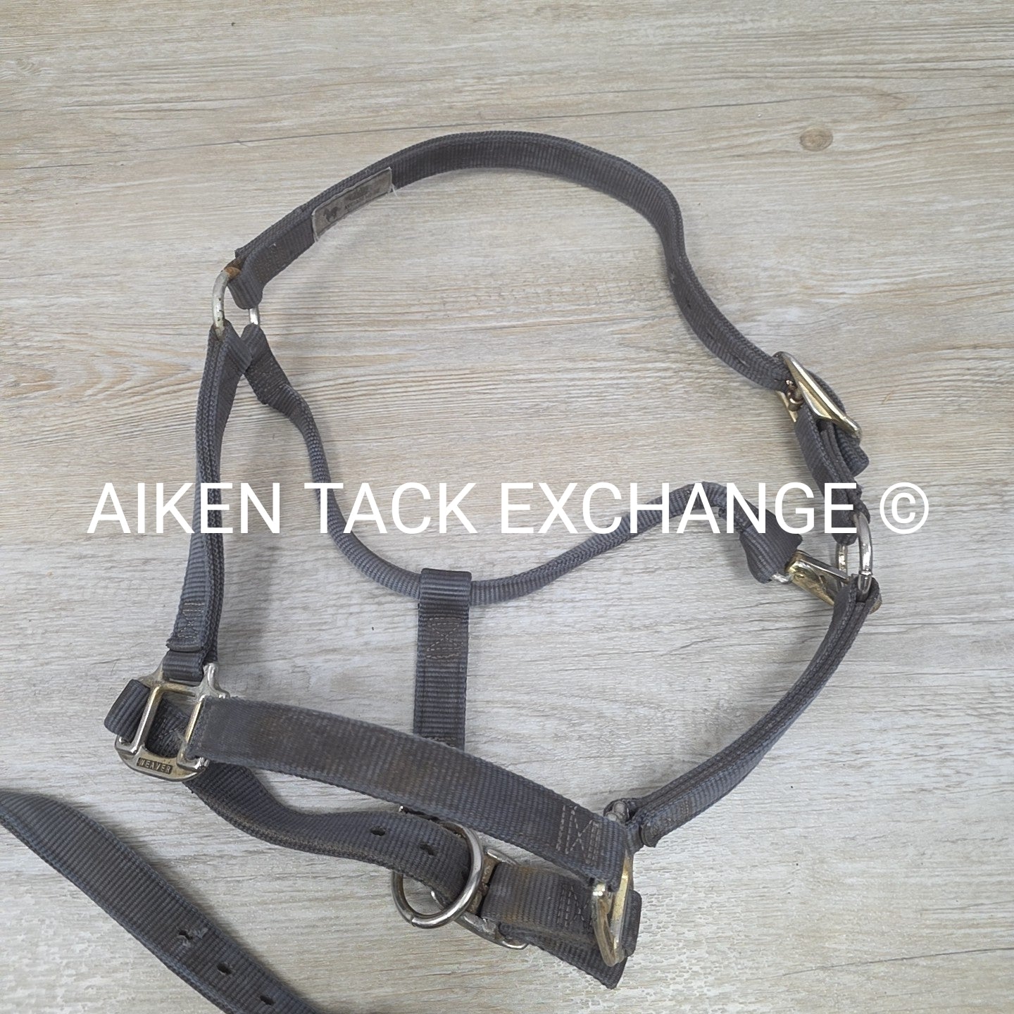BARGAIN BUNDLE 3 Weaver Leather Nylon Halters, Size Horse