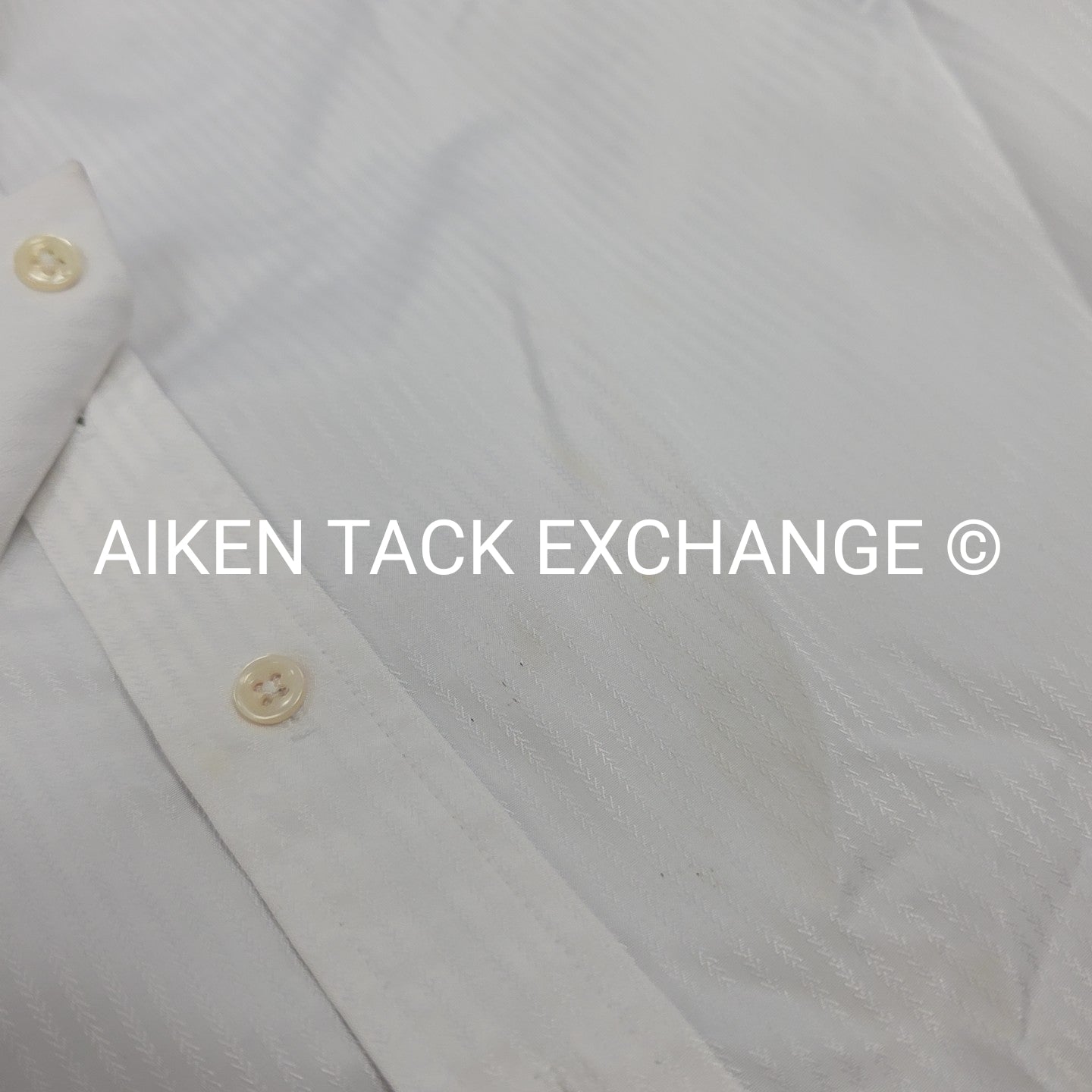 BARGAIN BUNDLE: 1 Beacon Hill, 1 Tailored Sportsman Show Shirt, Size 36