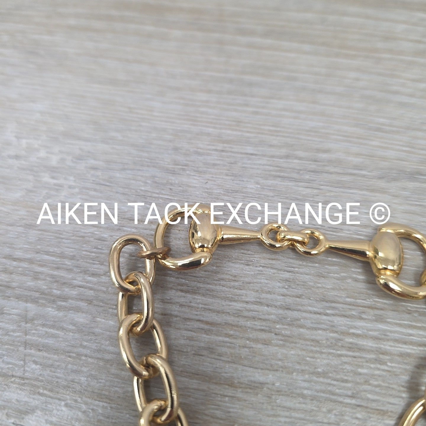 Snaffle Bit Chain Bracelet