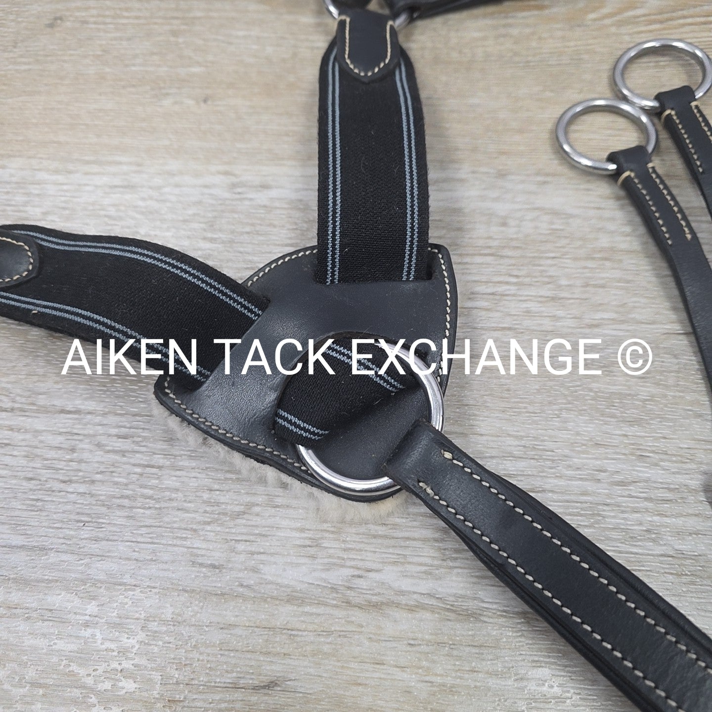 5 Point Elastic Breastplate with Running Martingale Attachment, Black, Size Pony