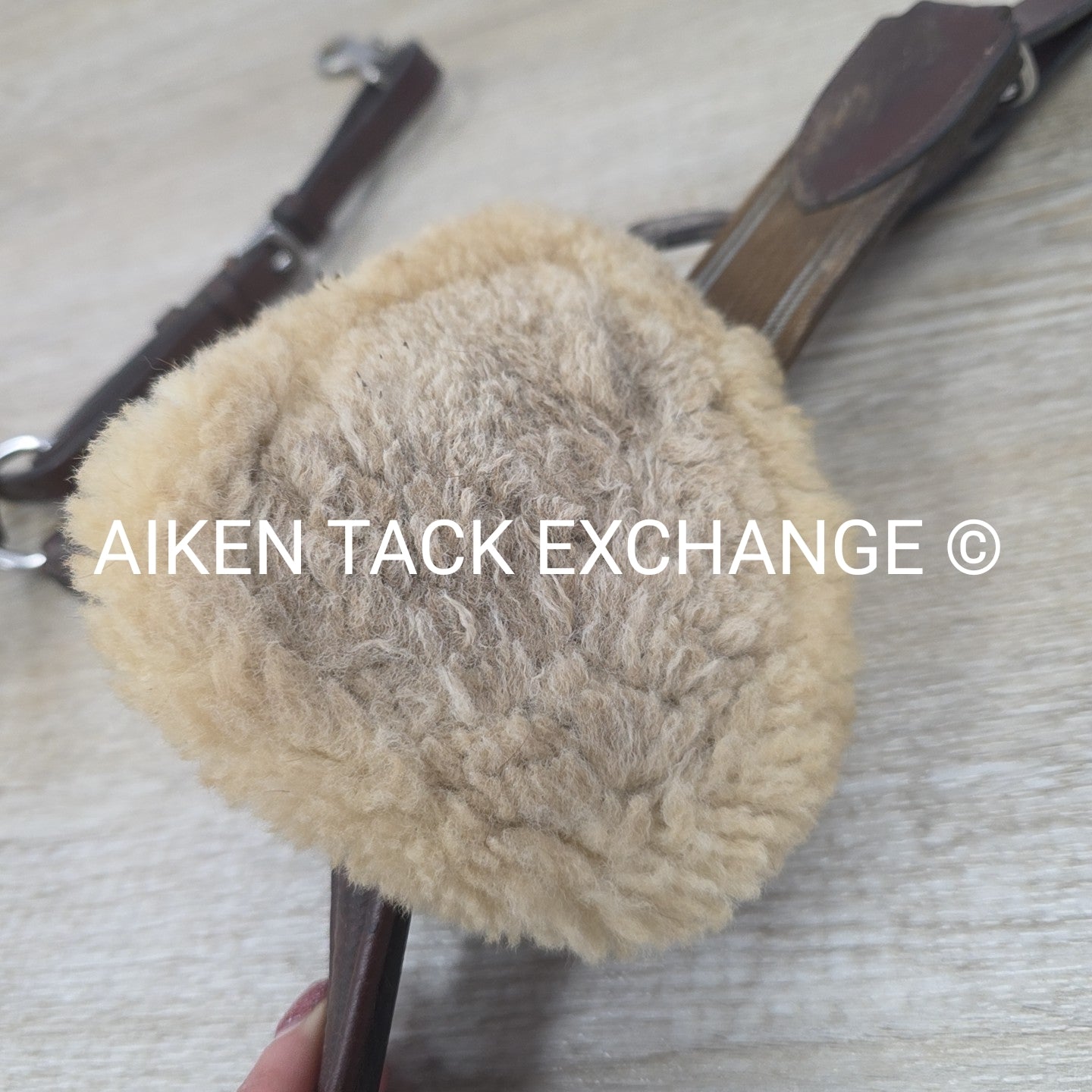 5 Point Breastplate, Brown, Size Cob