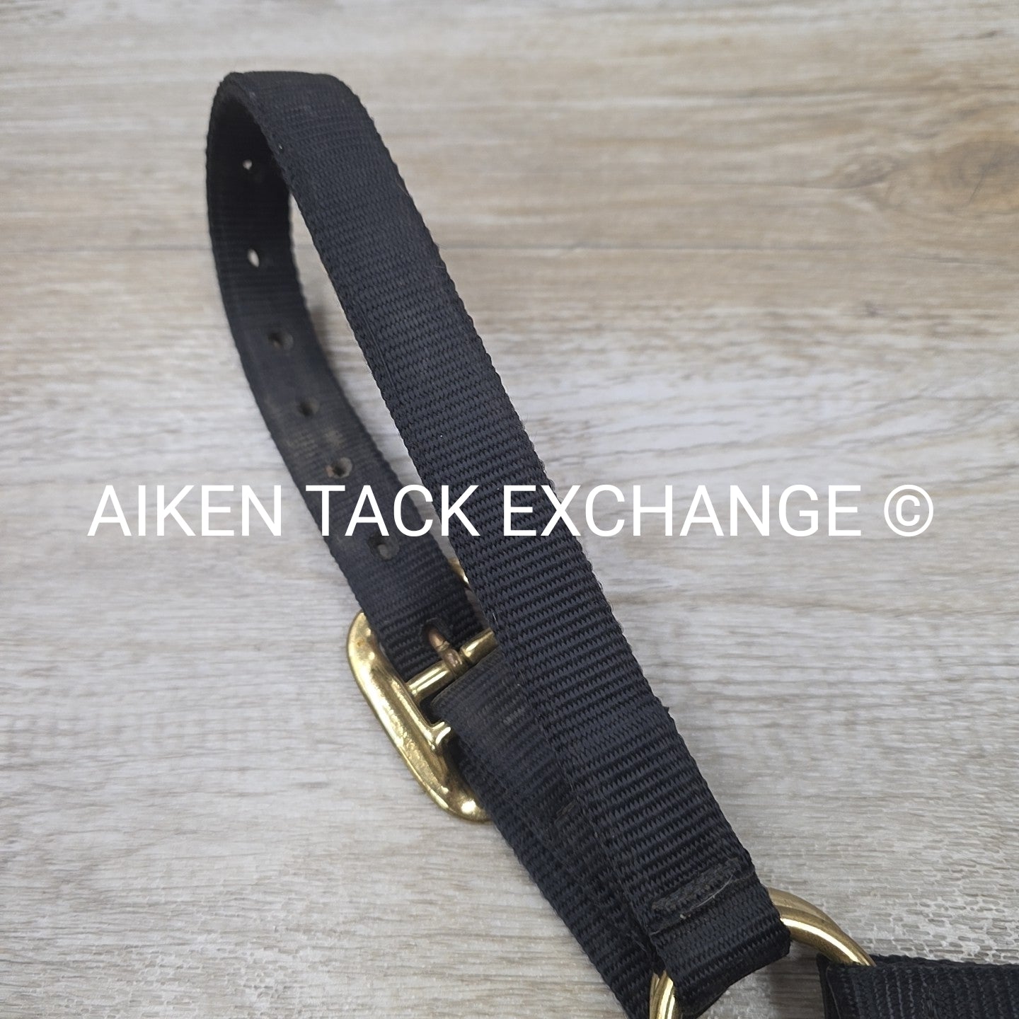 Monty Roberts Dually Schooling Halter, Size Full