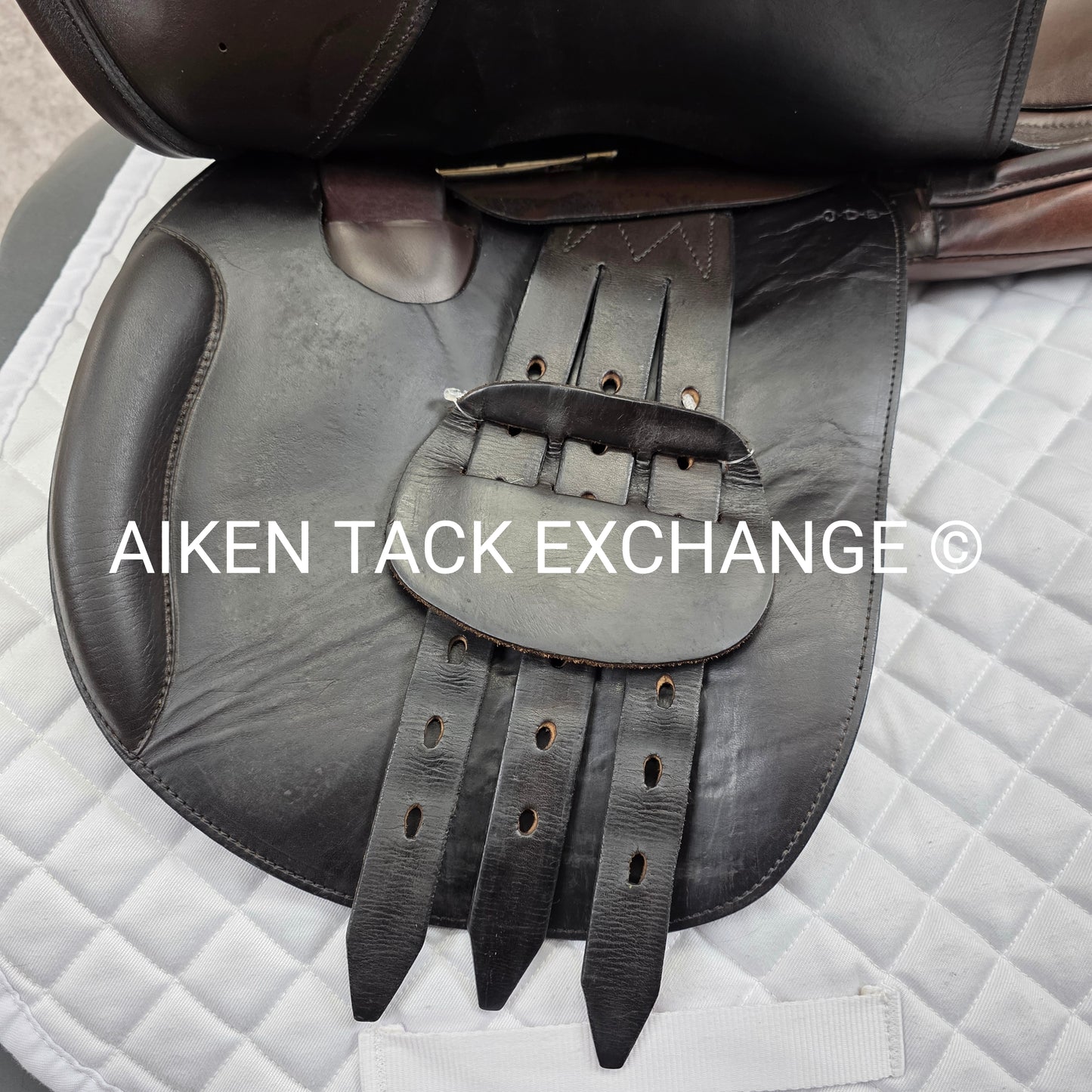 **SOLD** 2002 Schleese Leslie Jump Saddle, 17.5" Seat, Medium Wide Tree, Wool Flocked Panels