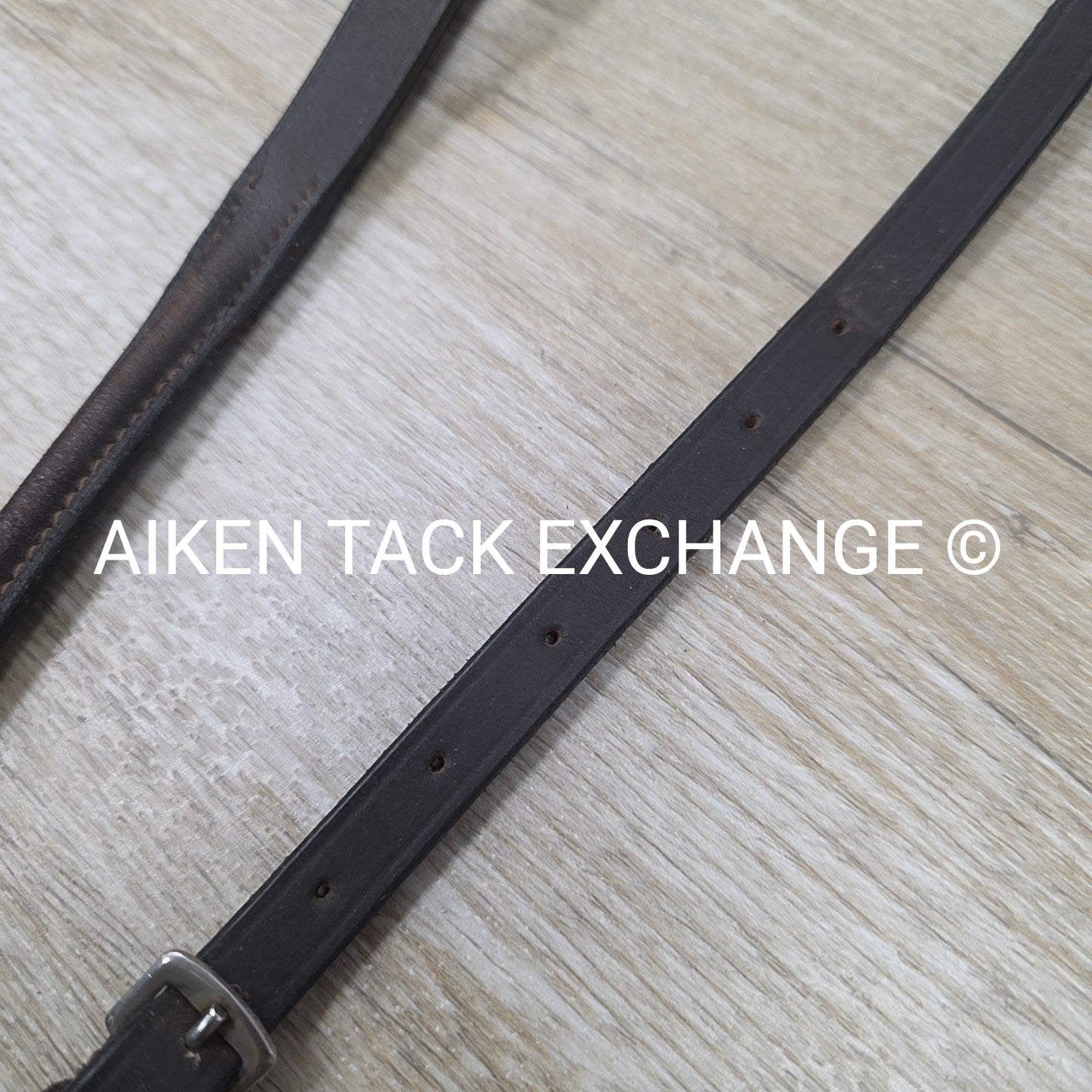 Plain Raised Standing Martingale, Brown, Size Cob