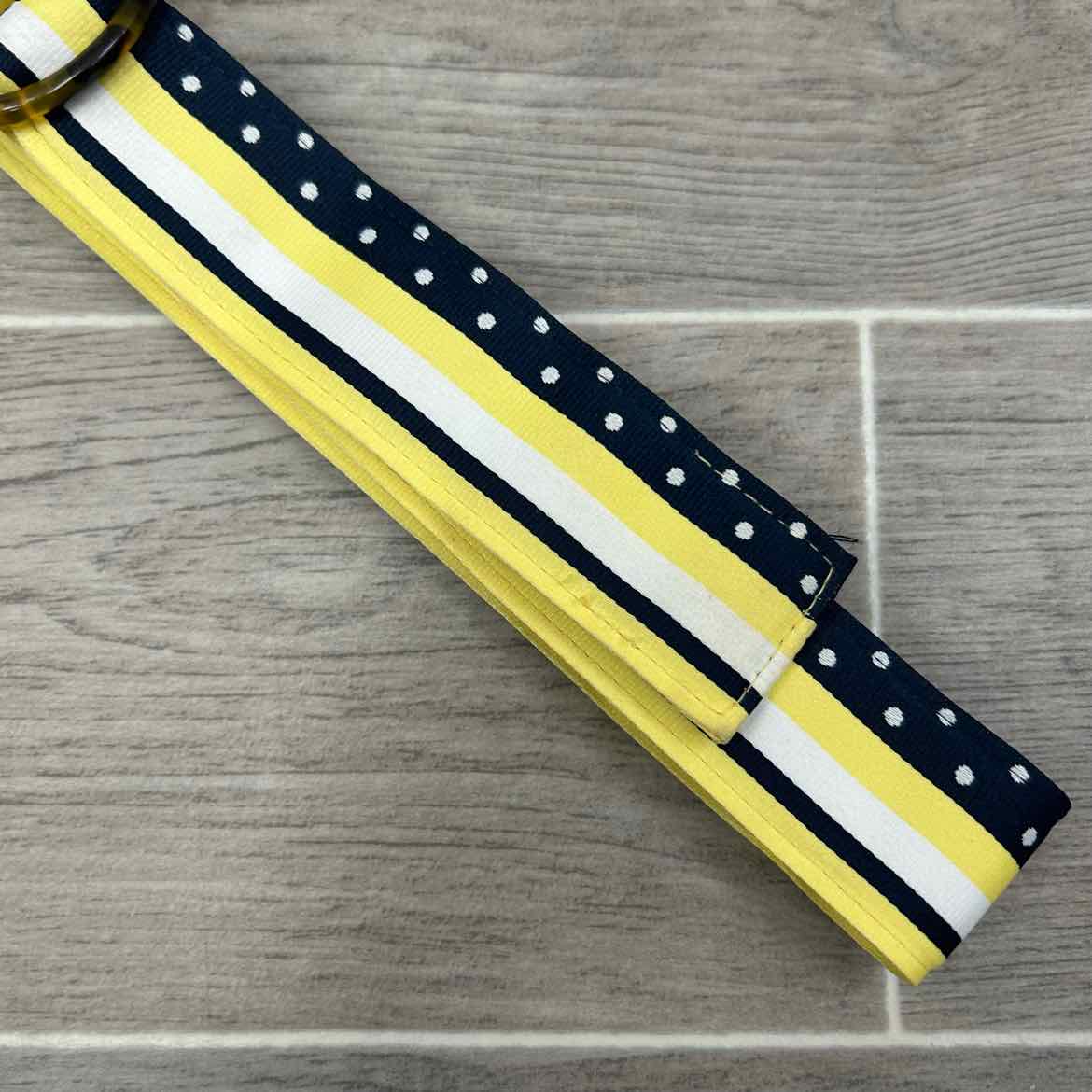 Ribbon Belt