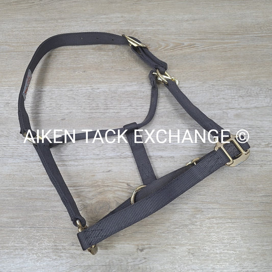 Nylon Halter, Size Medium