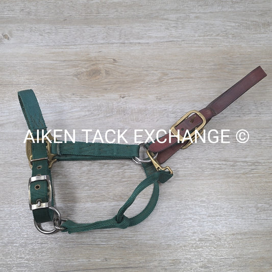 Hamilton Deluxe Adjustable Breakaway Halter, Size Full