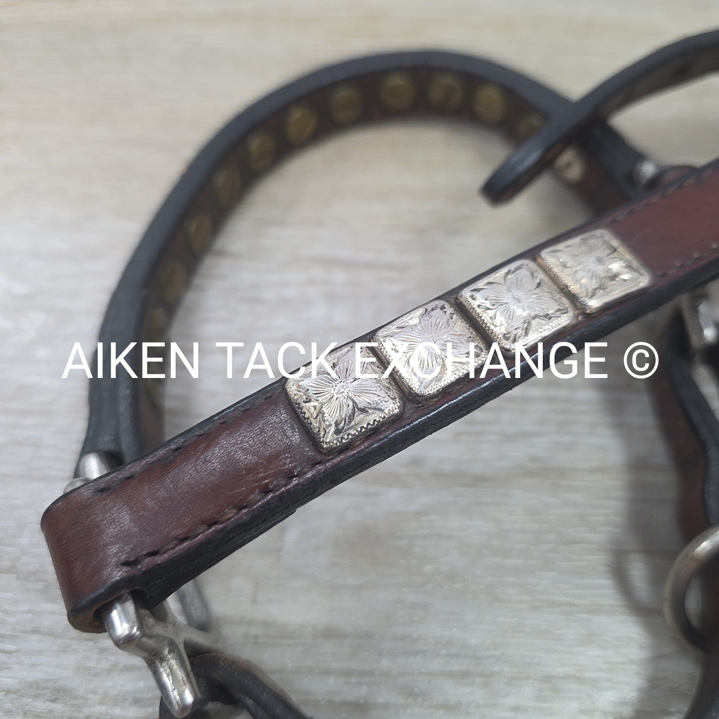 Western Show Halter, Size Foal