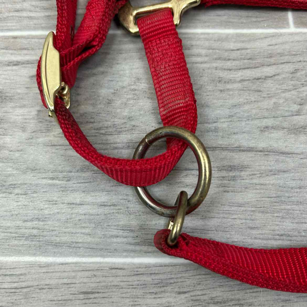 Weaver Leather Nylon Halter, Size Medium Arabian