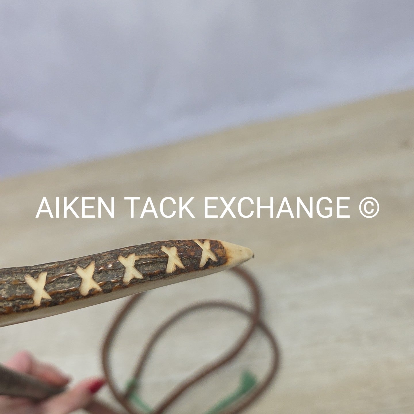 Swaine Whip for Foxhunting