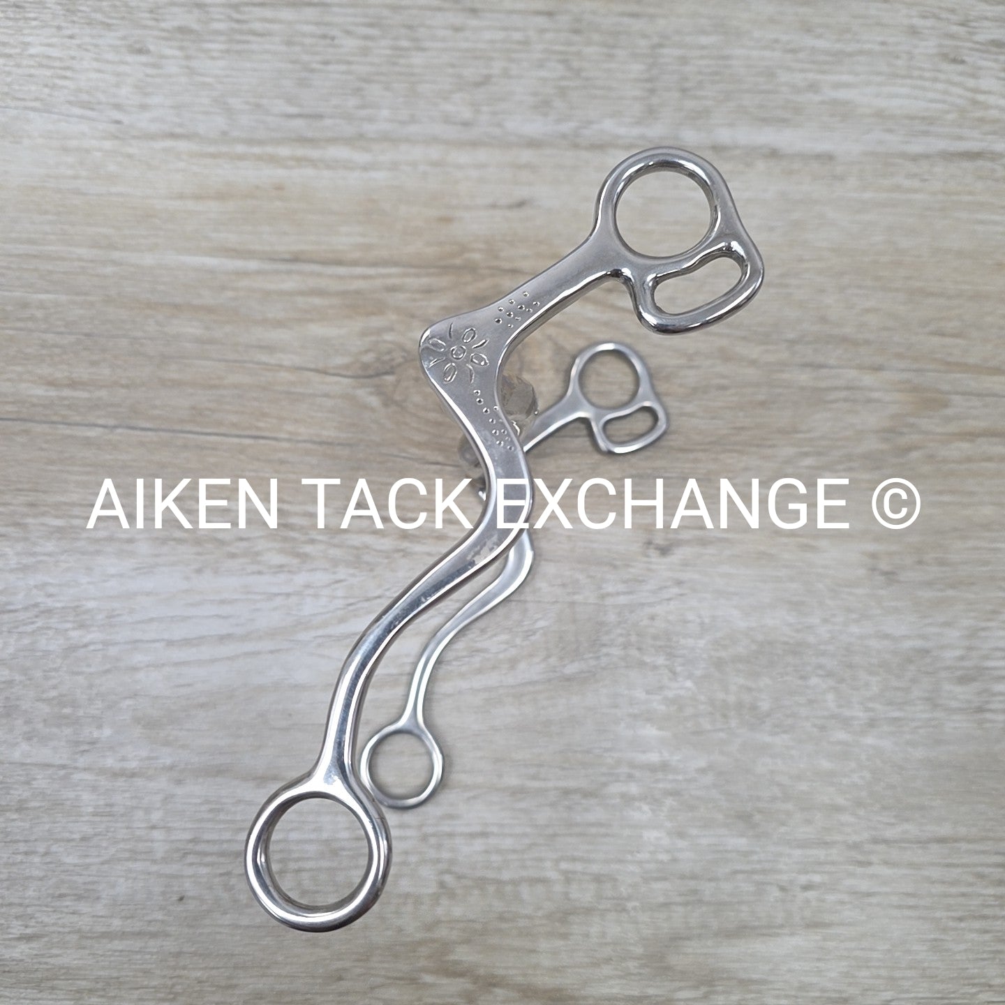 Ported Mullen Mouth Shanked Bit 5"