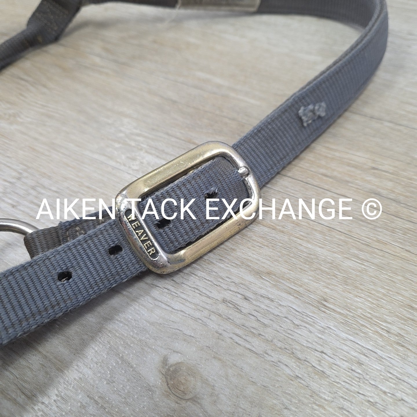 BARGAIN BUNDLE 4 Weaver Leather Nylon Halters, Size Large Horse