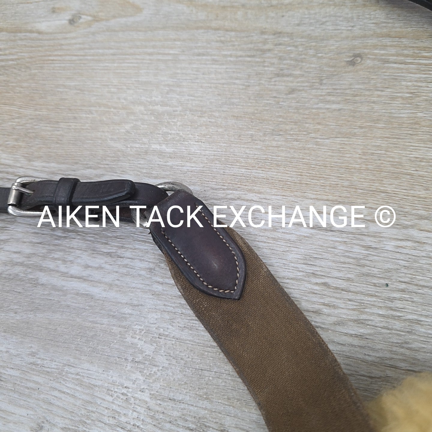 5 Point Breastplate, Brown, Size Full