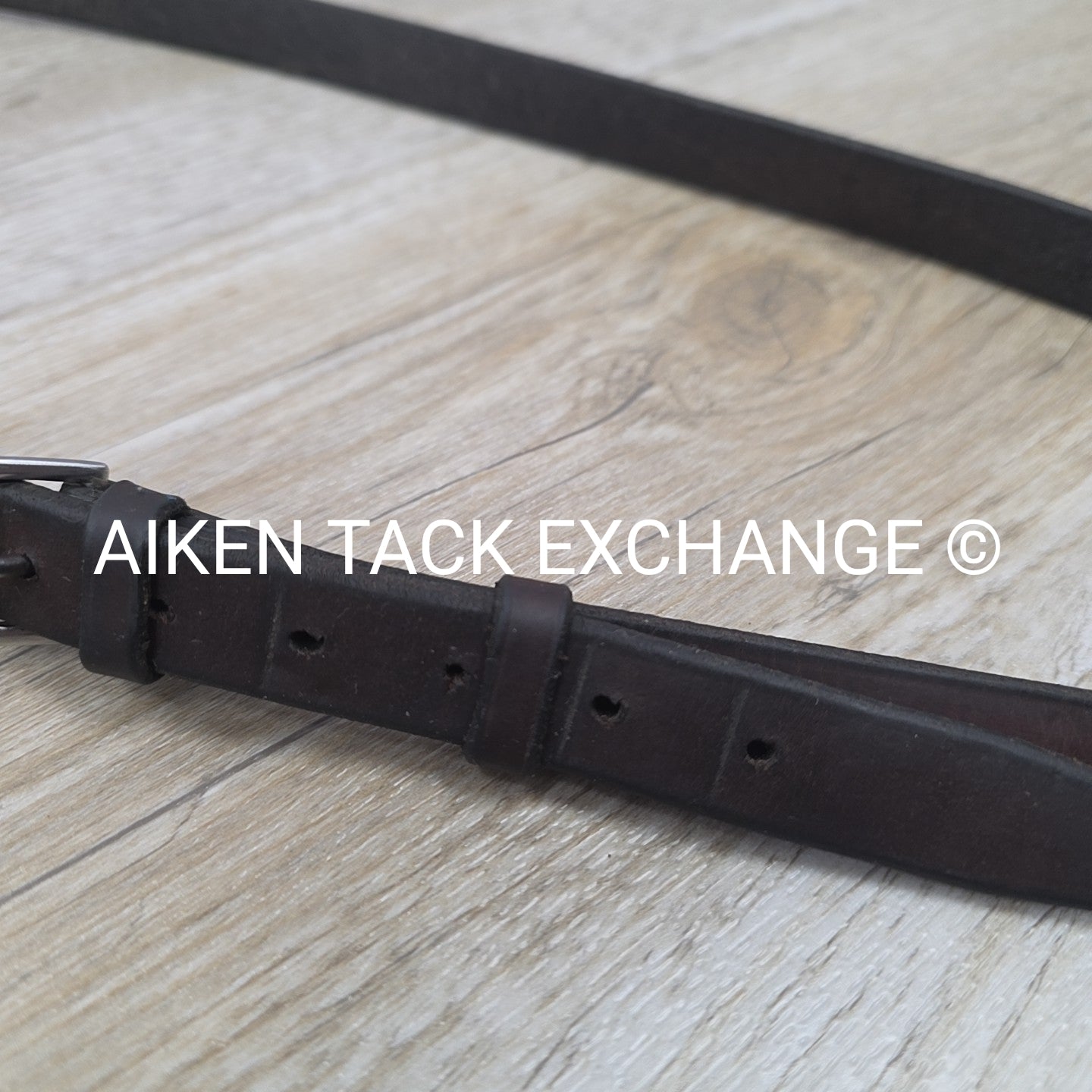 Horse Country First Flight Standing Martingale, Brown, Oversize