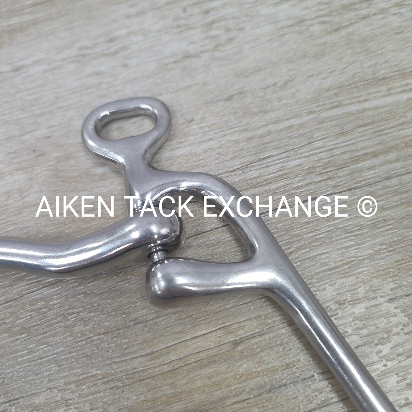 Mullen Mouth Shanked Walking Horse Bit 5"