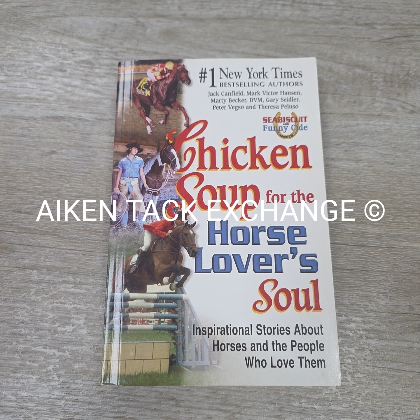 Chicken Soup for the Horse Lover's Soul