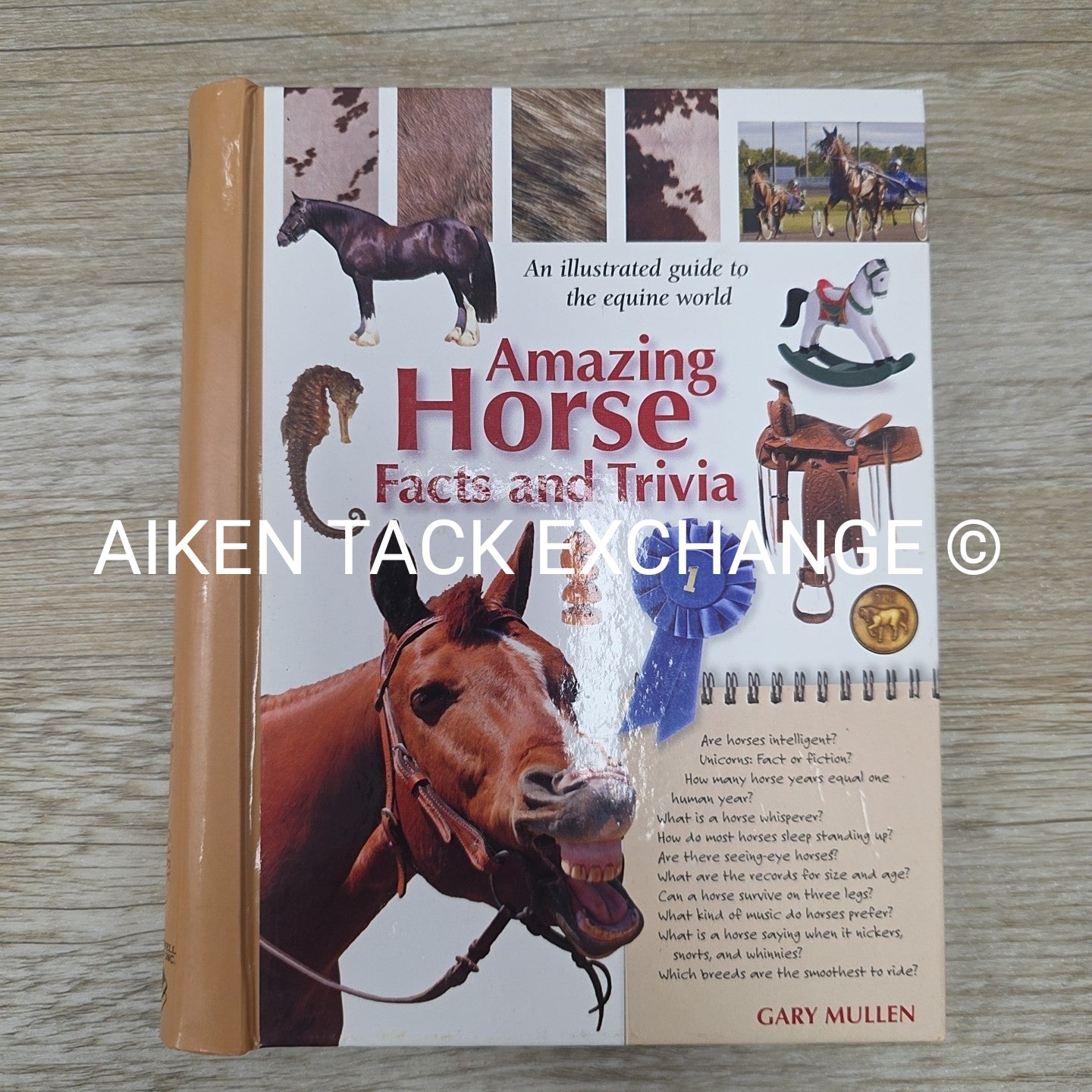 Amazing Horse Facts & Trivia by Gary Mullen