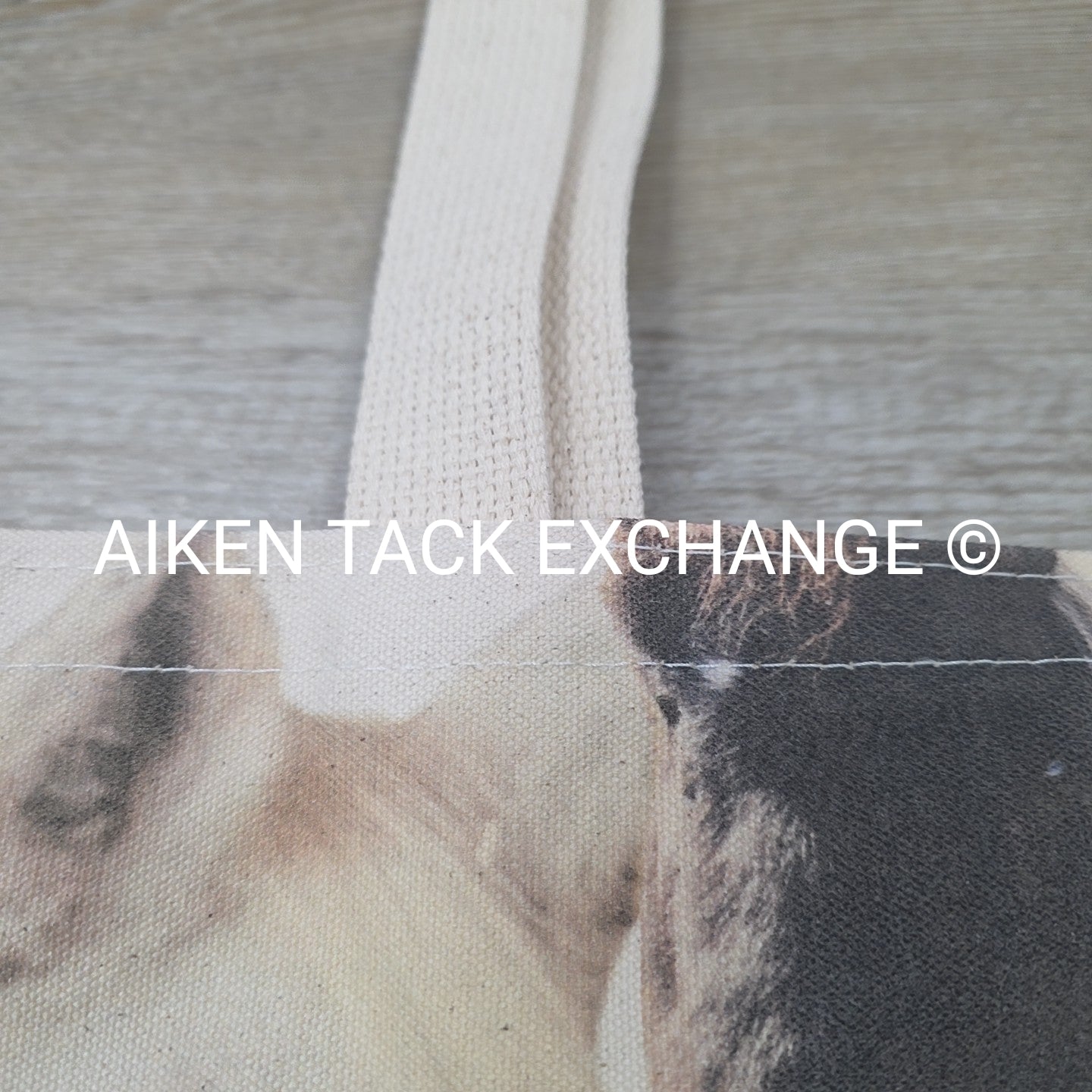 Canvas Tote Bag