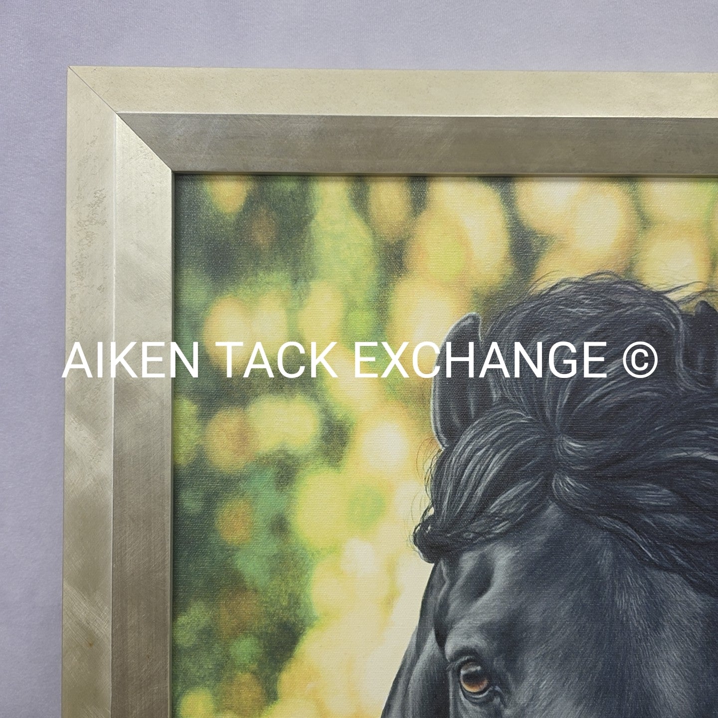 Horse Print on Canvas, 25.5" x 31.5"