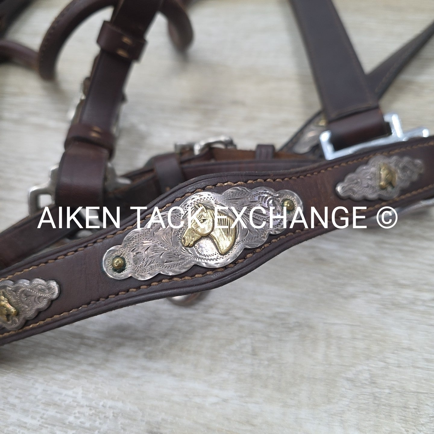Victor Quality Westen Show Halter with Lead