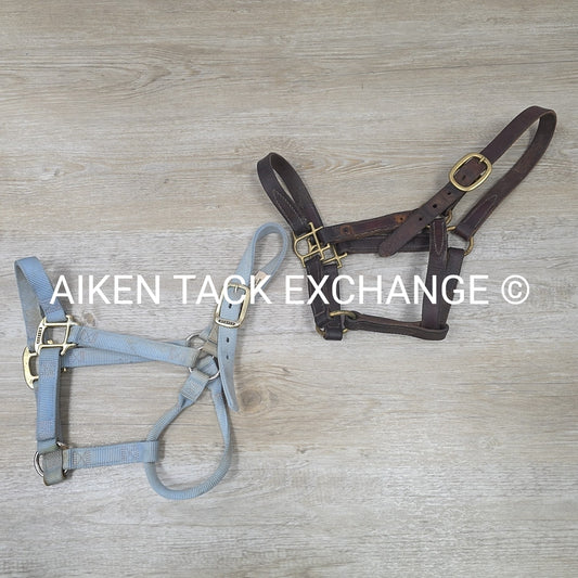 BARGAIN BUNDLE: Weaver Nylon Halter & Leather Halter, Size Full