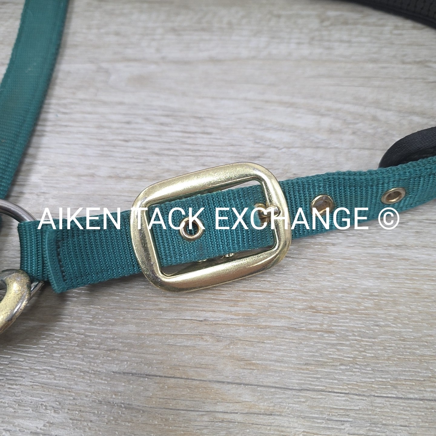 Hy Padded Nylon Halter, Size Full