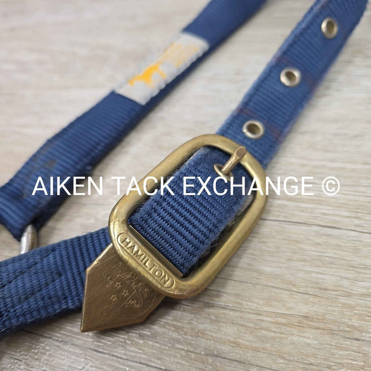 Hamilton Nylon Halter & Lead, Large Horse