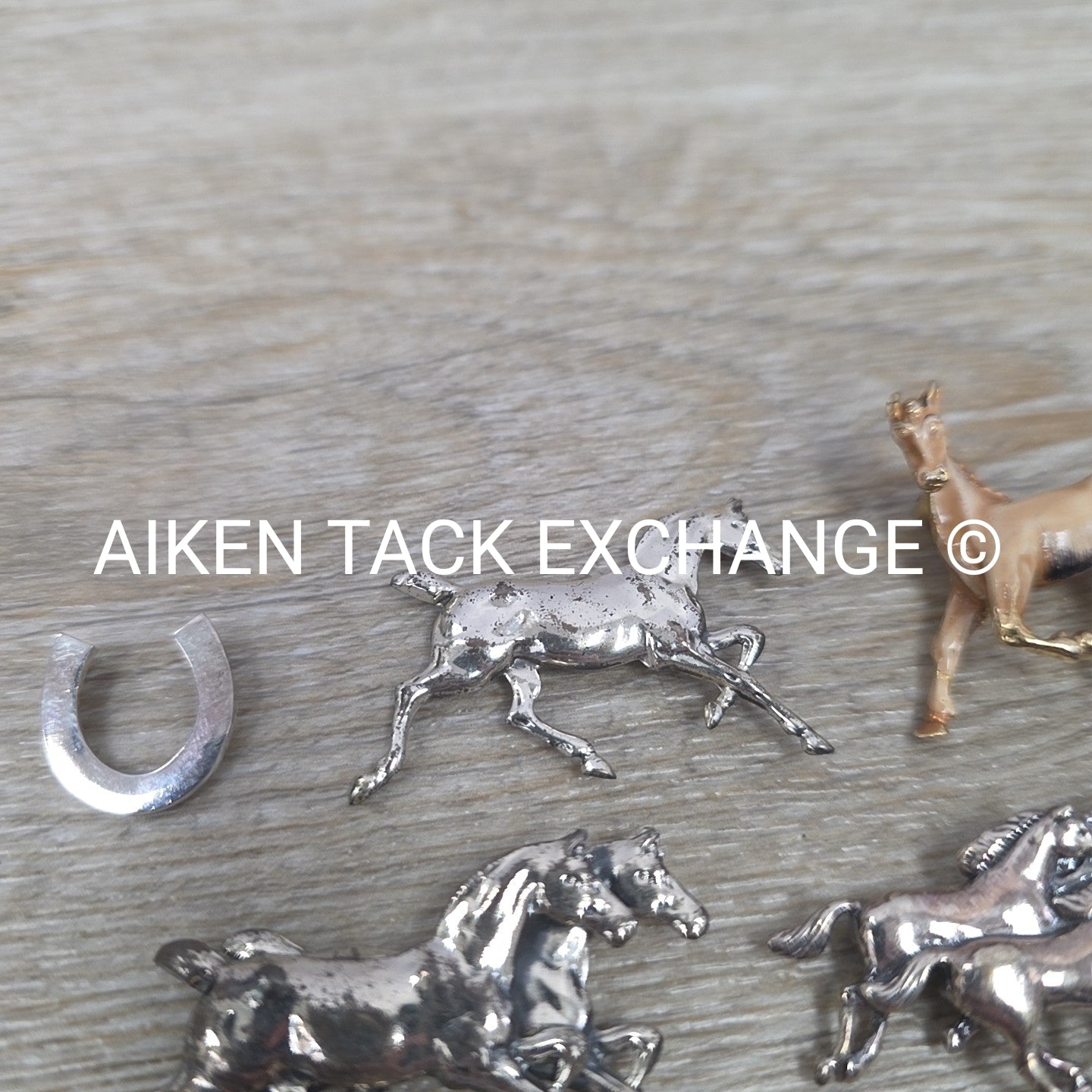 Horse Pin Bundle + 1 Horseshoe Charm