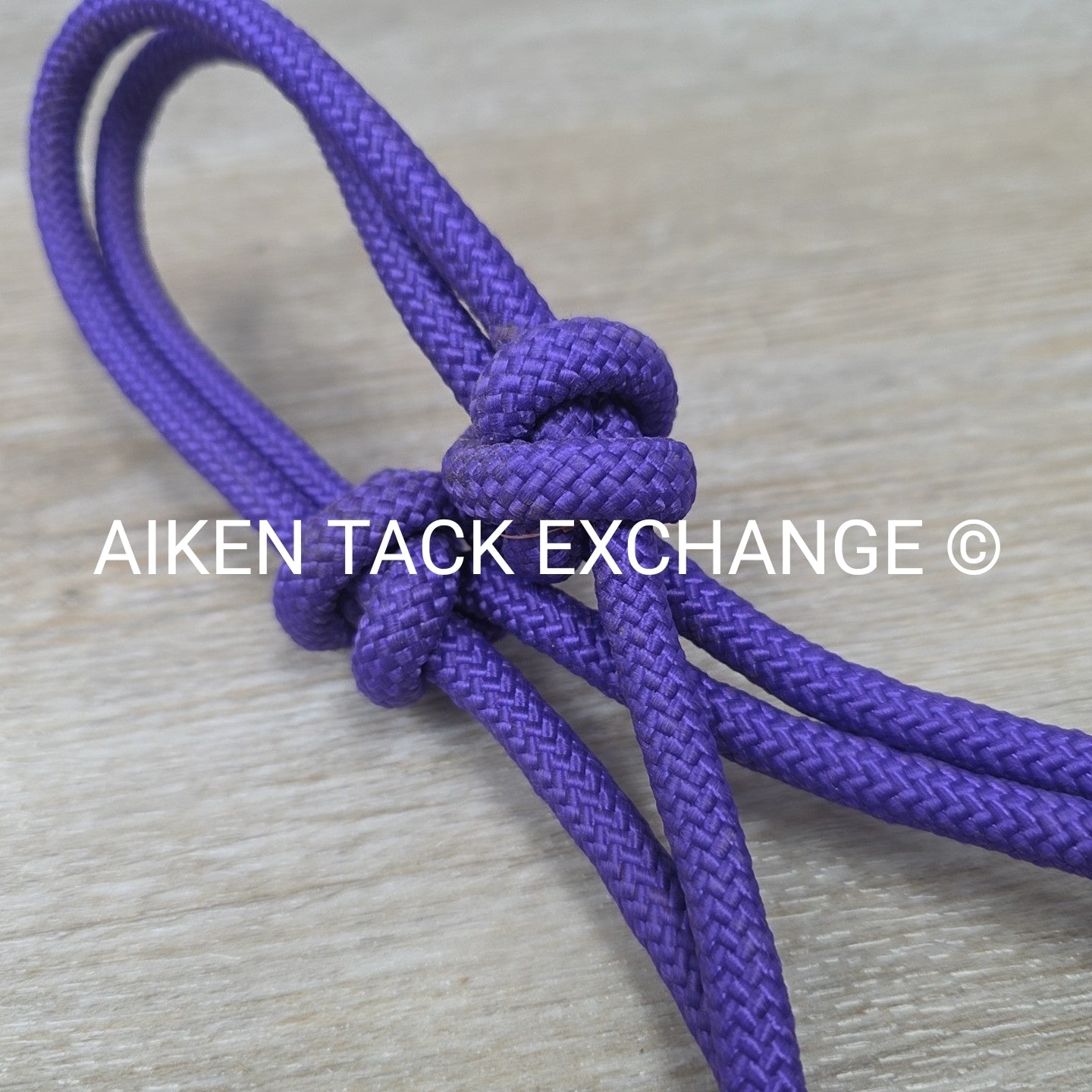 Rope Halter with Lead