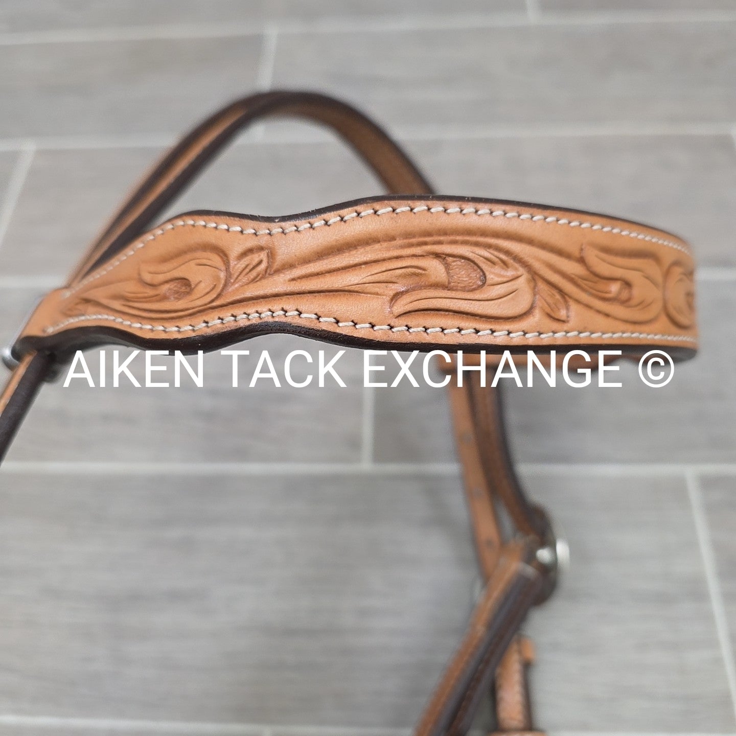 Showman Browband Headstall, No Reins
