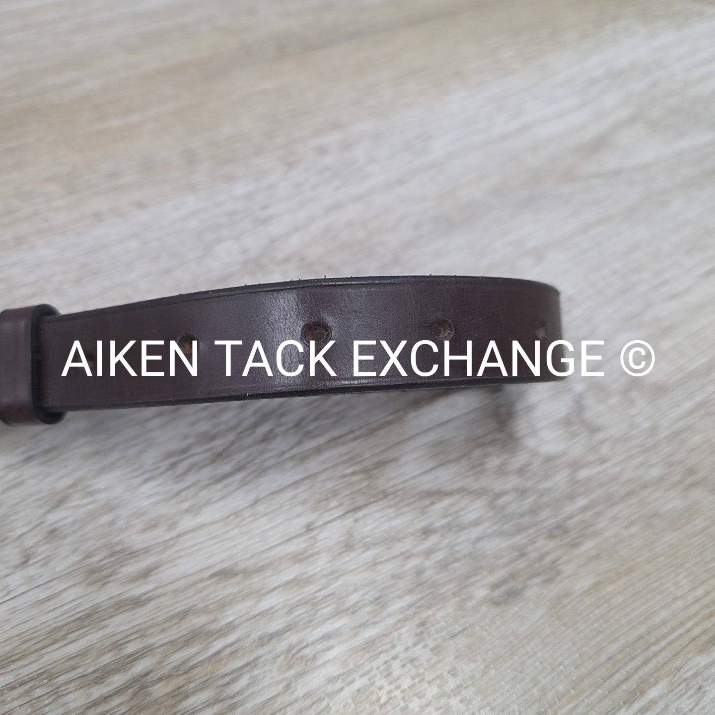 Standing Martingale, Made in England, Brown, Size Full