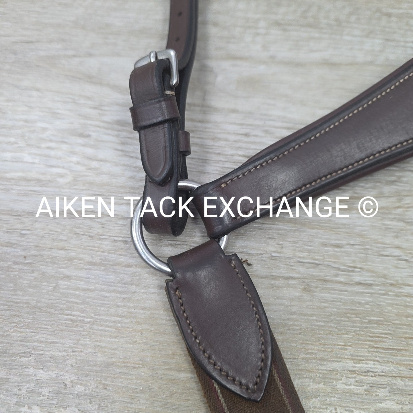 HDR Pro 5 Point Elastic Breastplate, Brown, Size Full