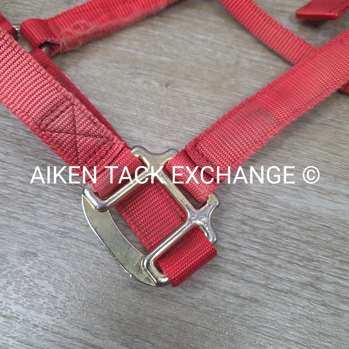 BARGAIN BUNDLE: Nylon Halter, Large, Nylon Halter Missing Crown, Full & Lead Rop