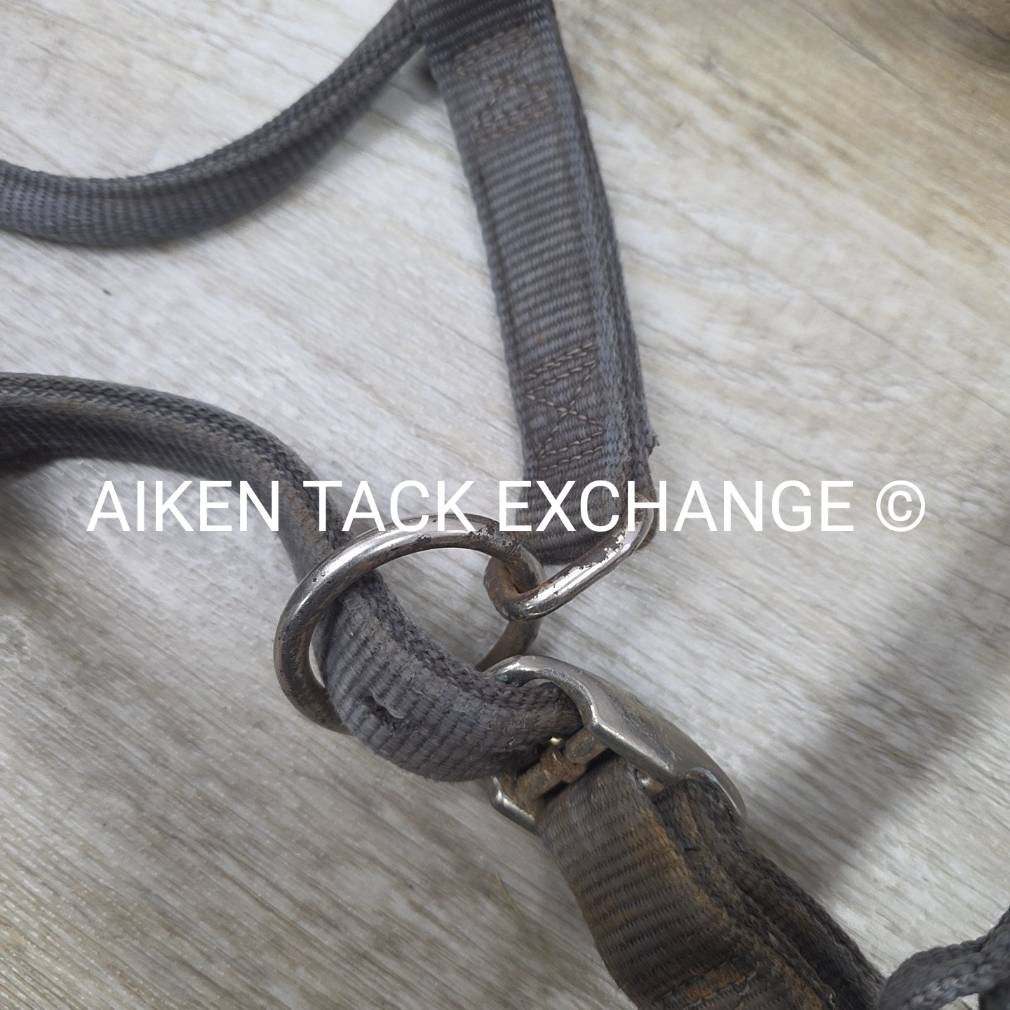 BARGAIN BUNDLE 4 Weaver Leather Nylon Halters, Size Large Horse