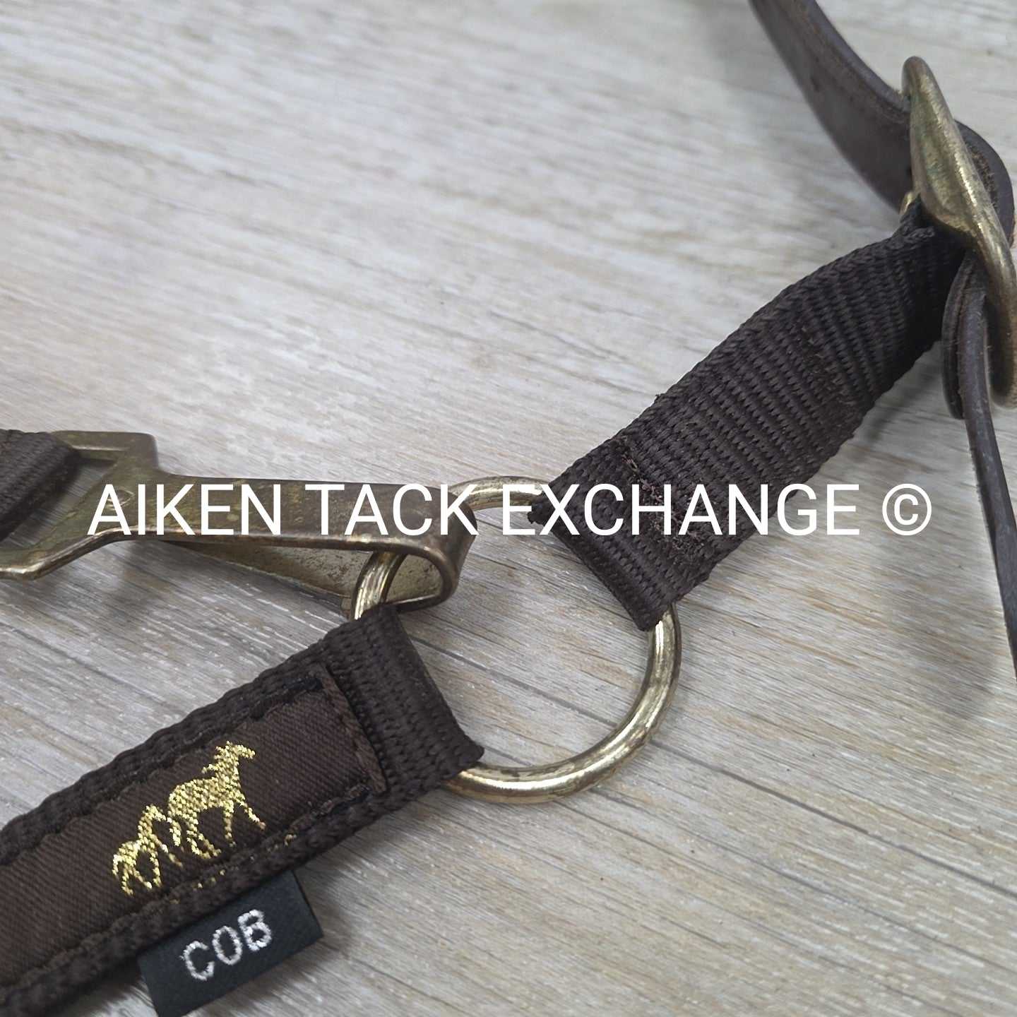 Nylon Halter, Size Cob