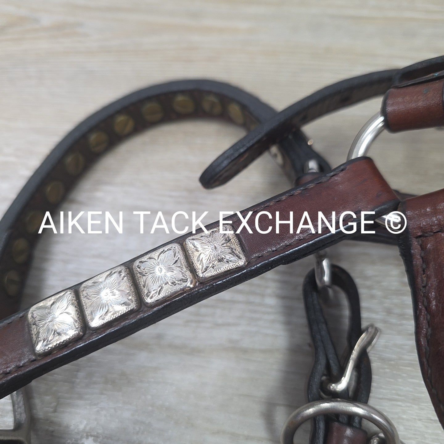 Western Show Halter, Size Foal