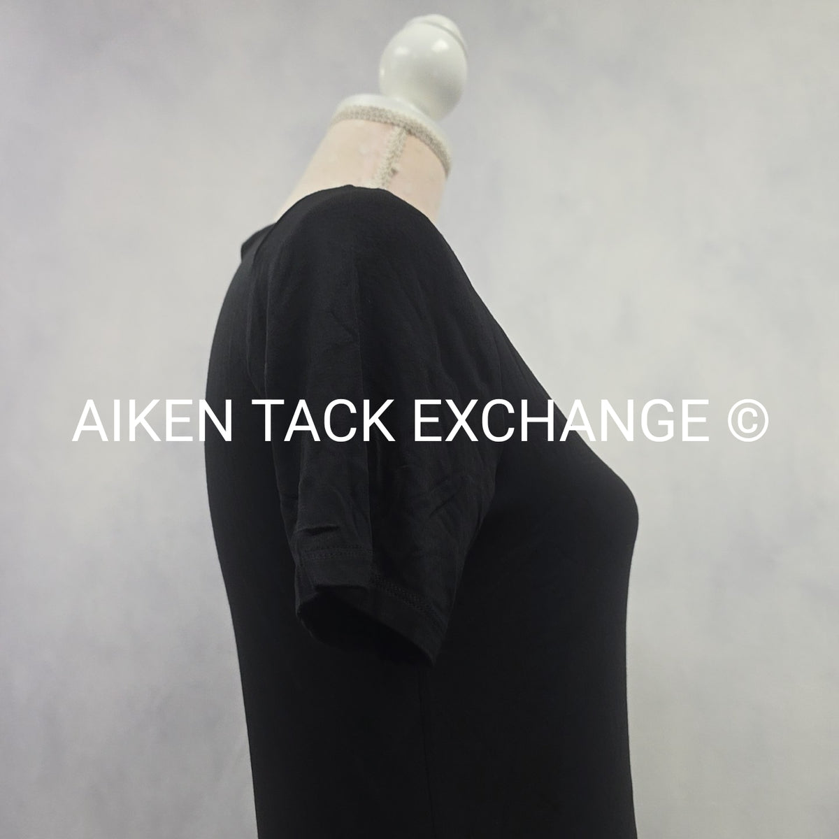 Venus T-Shirt Dress, Size Small