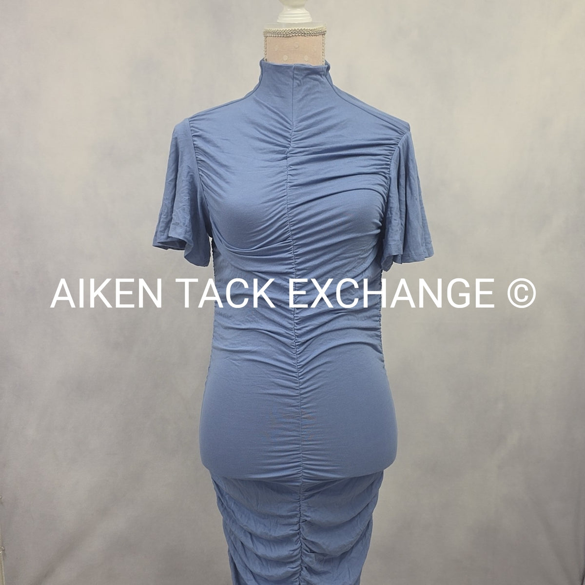Venus Dress, Size X-Small