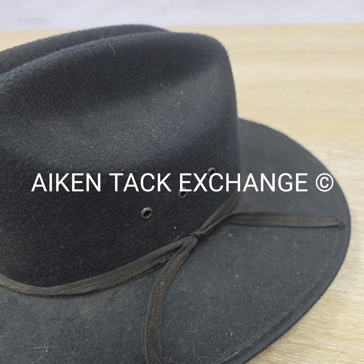 Western Express Children's Felt Hat
